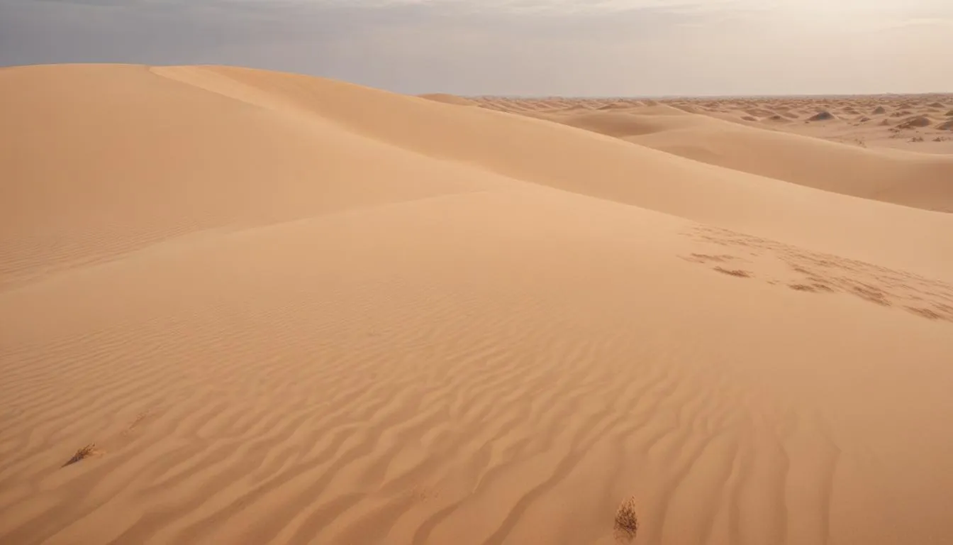 250 Dune Puns for a Sandy Sense of Humor