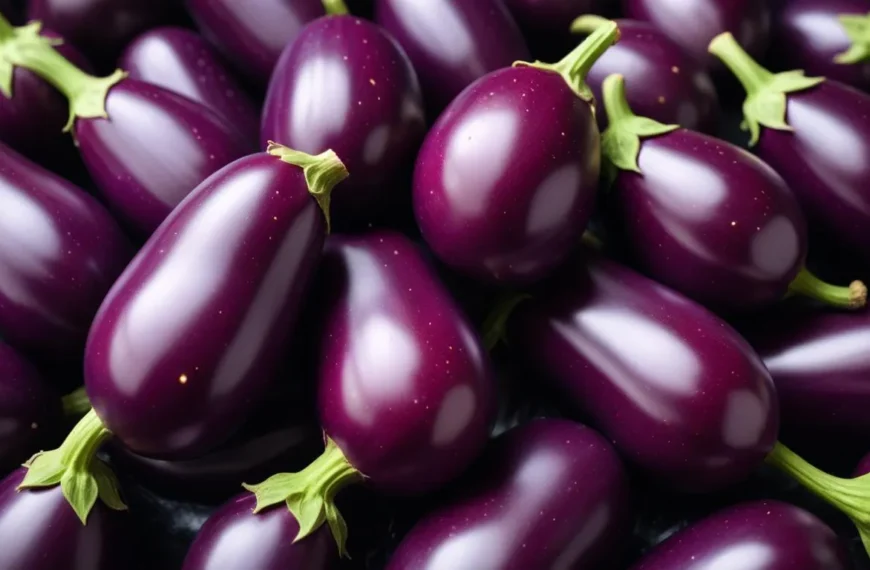 250 Eggplant Puns for an Auber-gine-ius Amusement