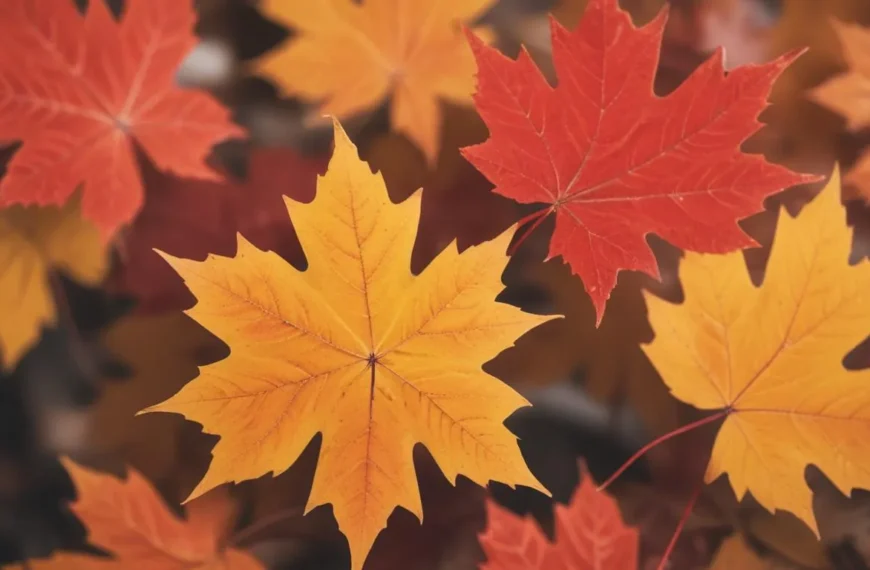 220 Canada Jokes for a Maple-y Merriment